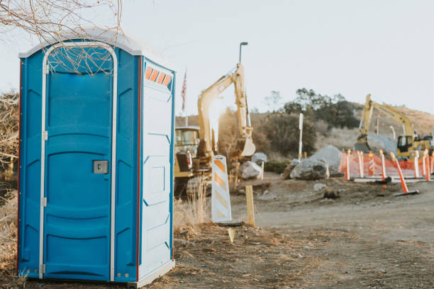 Best Affordable portable toilet rental  in Lincolnia, VA