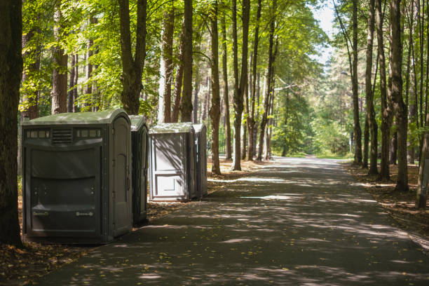 Best Porta potty delivery and setup  in Lincolnia, VA